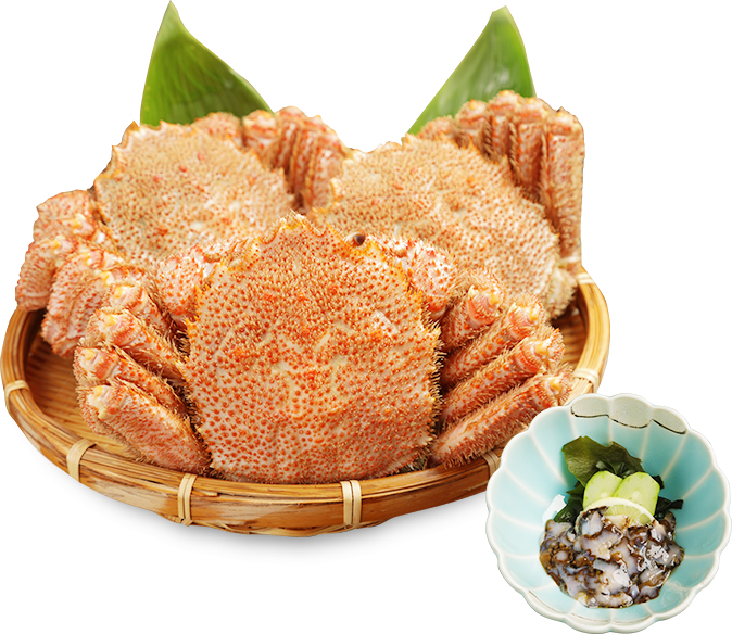 イメージ:お料理