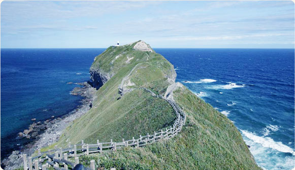 積丹ブルーは必見！神威岬や積丹岬で絶景を堪能